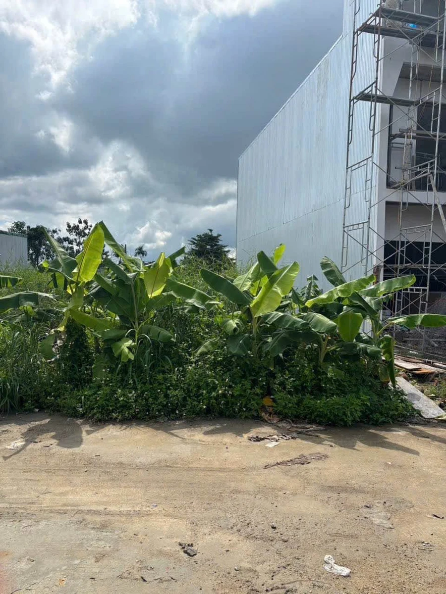 Bán lô đất 5x35m (175m2) có 60m2 thổ cư tại Thôn 1, Xã Ekao, Đắk Lắk giá 1,1 tỷ - Ảnh thu nhỏ 2