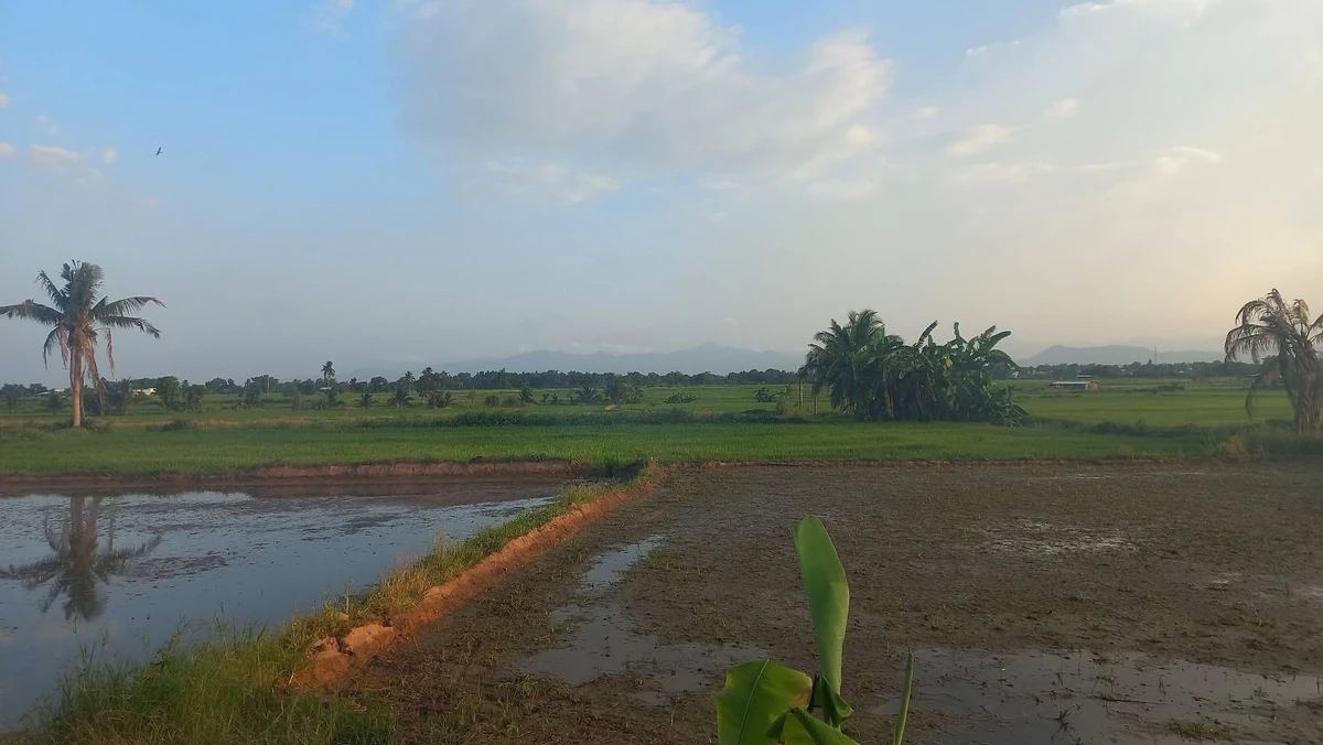 Bán đất nông nghiệp 1,6 mẫu Ninh Sơn, Ninh Thuận 900 triệu - Ảnh thu nhỏ 3