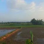 Bán đất nông nghiệp 1,6 mẫu Ninh Sơn, Ninh Thuận 900 triệu - Ảnh thu nhỏ 3
