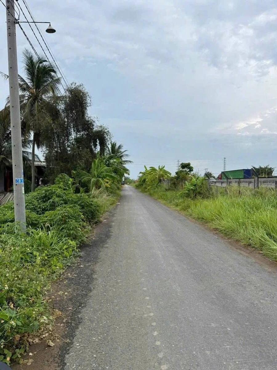 Bán đất 3.911,5m² cạnh cao tốc TP.HCM-Trung Lương, Tây Ninh - Ảnh thu nhỏ 4