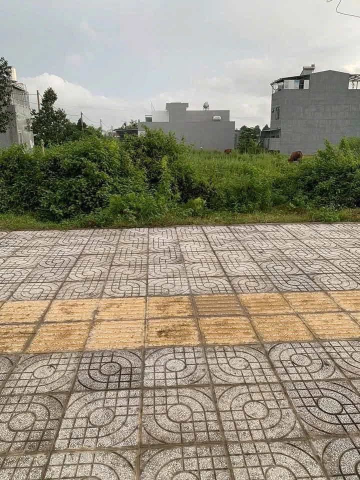 Bán đất mặt tiền đường 26m Khu Hòa Long 100m² Bà Rịa - Ảnh thu nhỏ 2