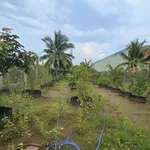Bán đất 578m2 tặng nhà mát tại Phường Sơn Đông, Bến Tre, giá 1,6 tỷ - Ảnh thu nhỏ 5