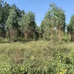 Bán đất 2,4ha Tân Lập Hàm Thuận Nam Bình Thuận 1 tỷ 470 - Ảnh thu nhỏ 3