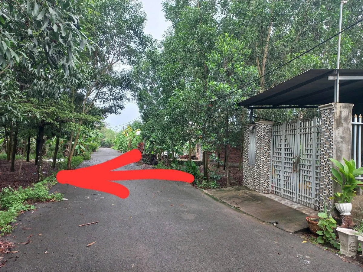 Bán đất Tam Phước 215m² sổ riêng 999 triệu - Ảnh thu nhỏ 3