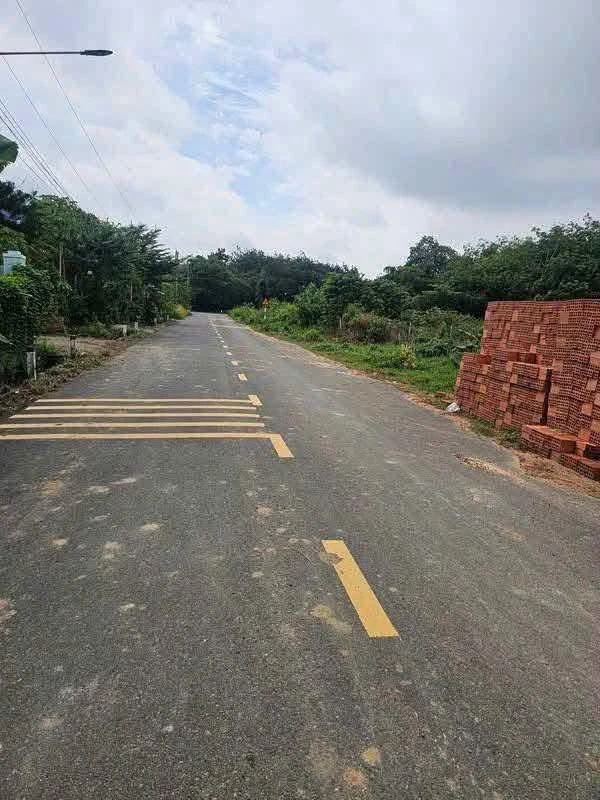 Bán đất Tân Hiệp, Bình Dương 125 m2 đường 9m - Ảnh thu nhỏ 3
