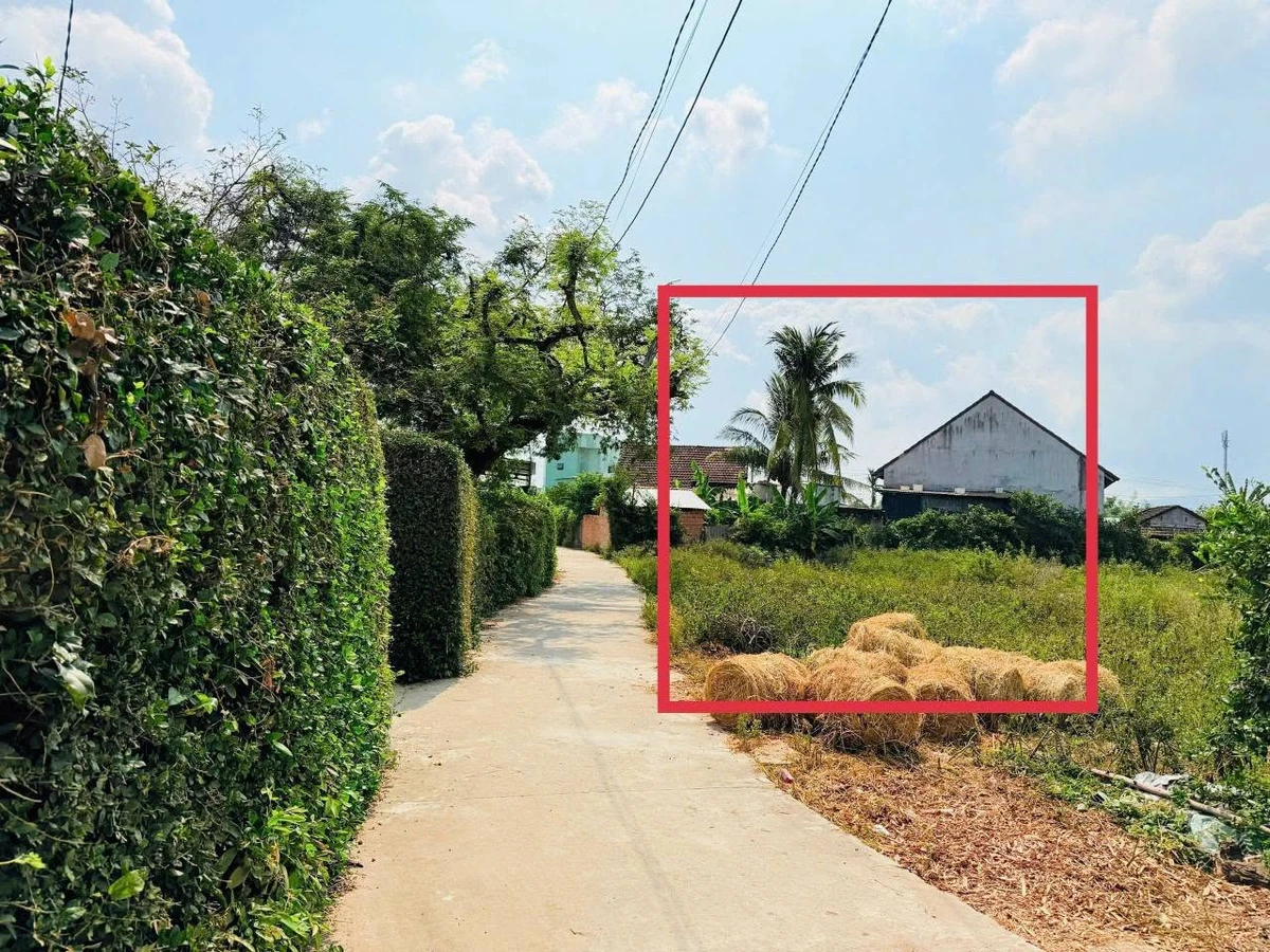Bán đất Phú Nhuận 100m² chỉ 390 triệu - Ảnh thu nhỏ 2
