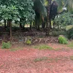 Bán đất Tân Biên 150m2 sổ hồng riêng 199 triệu - Ảnh thu nhỏ 2