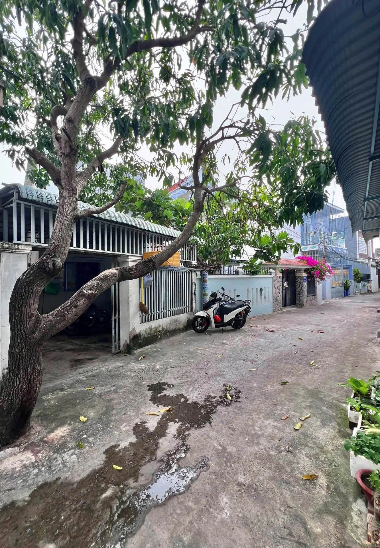 Bán dãy trọ 11 phòng Phan Thiết 273m2 giá 3,6 tỷ - Ảnh 1