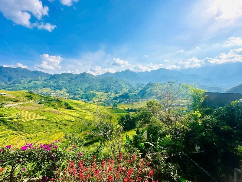 Bán homestay 2.600m² view thung lũng Mường Hoa, mặt đường TL152, Tả Van, Sa Pa giá 17,58 tỷ