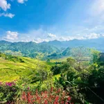 Bán homestay 2.600m² view thung lũng Mường Hoa, mặt đường TL152, Tả Van, Sa Pa giá 17,58 tỷ - Ảnh thu nhỏ 1
