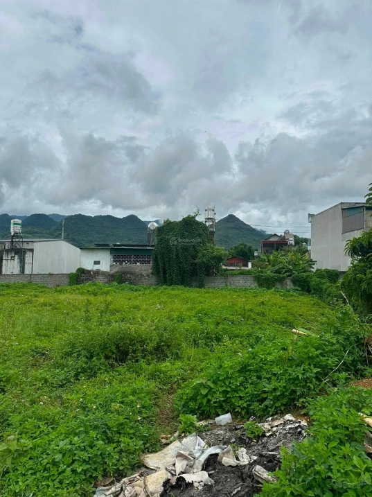 Gia đình cần bán gần 1.000m2 đất giá hơn 1tr/m2, ô tô tránh, mặt tiền 27,27m Bình Lư, Tam Đường - Ảnh thu nhỏ 3