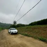 159m² Thọ Sơn Triệu Sơn | đường rộng 7m | view cánh đồng | sát KCN Lam Sơn - Ảnh thu nhỏ 11