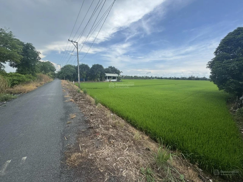 Bán đất full thổ cư P Mỹ Thới Long Xuyên An Giang.