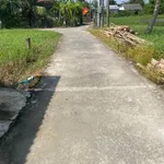 Bán nhà mặt tiền đường Trần Thị Bông 5x27m Thạnh Tân Trụ Long An - Ảnh thu nhỏ 1