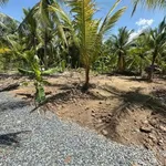 Bán đất 1000m² đường Hoa Lâm, Bình Chánh, 450 triệu - Ảnh thu nhỏ 1