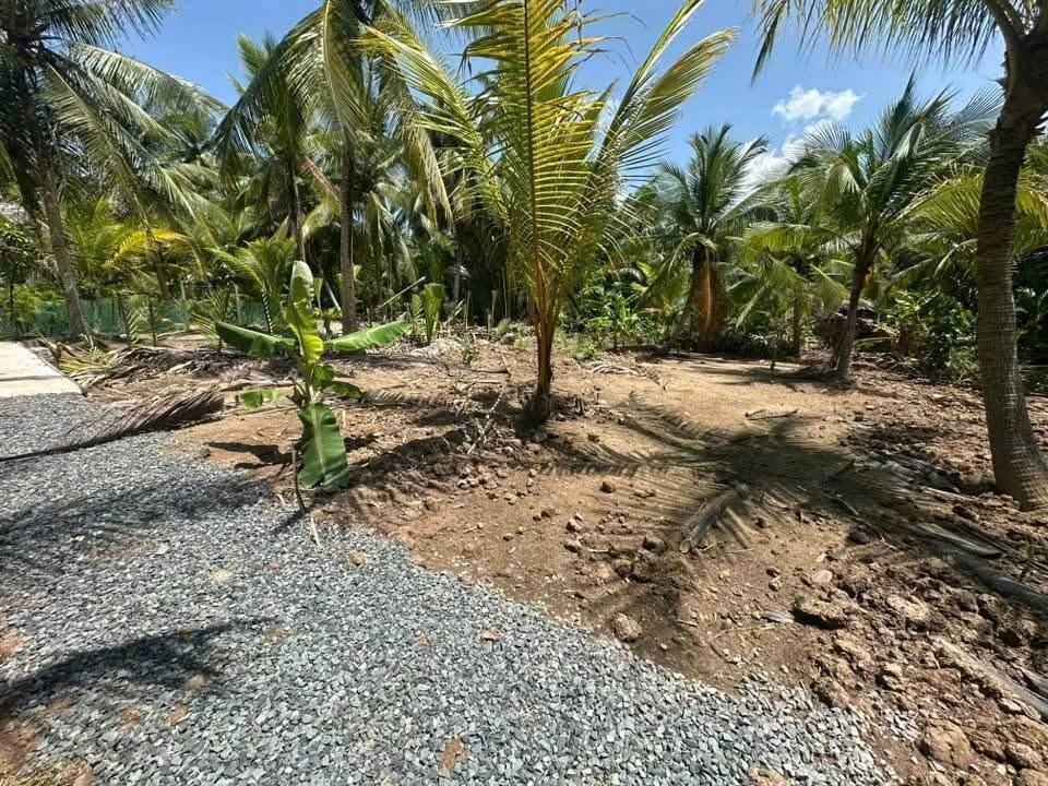 Bán đất 1000m² đường Hoa Lâm, Bình Chánh, 450 triệu - Ảnh 1