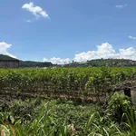 Bán đất thổ cư 400m² Đông Anh 2,1 tỷ - Ảnh thu nhỏ 3
