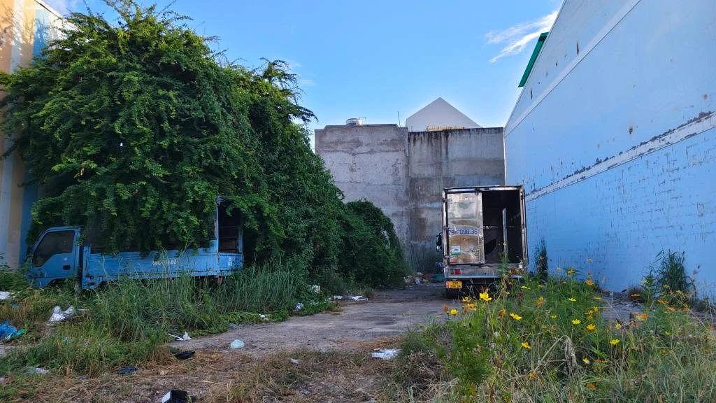 Bán lô đất 100m² mặt tiền Lê Đại Hành, Phan Thiết - Ảnh thu nhỏ 4