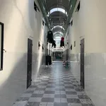 Bán nhà trọ 300m² KĐT Mỹ Phước 3, Bình Dương, 5,4 tỷ - Ảnh thu nhỏ 5