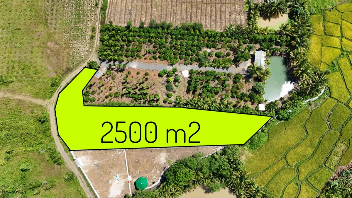 Bán 2,5 sào đất view Bến Mỹ Thuận, 1 tỷ 90 triệu - Ảnh thu nhỏ 2