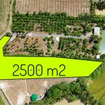 Bán 2,5 sào đất view Bến Mỹ Thuận, 1 tỷ 90 triệu - Ảnh thu nhỏ 2