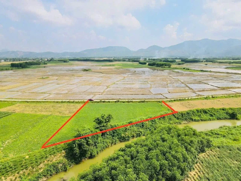 Đất bán Phong Sơn Huế 900m² mặt bê tông 89 triệu