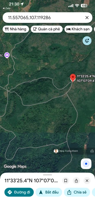 20 000 000m2 (2000 ha) rừng sản xuất theo dự án cây lâm nghiệp, dược liệu kết hợp du lịch sinh thái - Ảnh 1