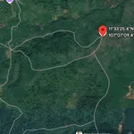 20 000 000m2 (2000 ha) rừng sản xuất theo dự án cây lâm nghiệp, dược liệu kết hợp du lịch sinh thái - Ảnh thu nhỏ 1