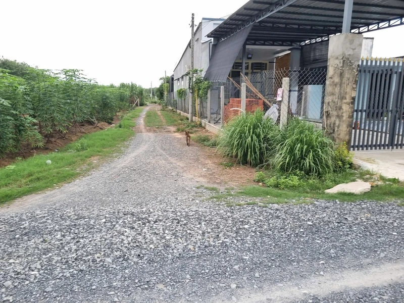 Bán đất thổ cư 5x65m Phước Thạnh Tây Ninh 330 triệu
