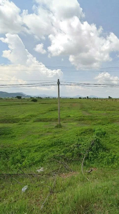 Bán 40.000 m² đất mặt tiền ĐT711 Hàm Thuận Bắc - Ảnh 1
