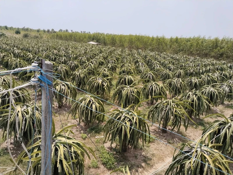 Bán đất nông nghiệp 28.000 m² tại Bình Thuận