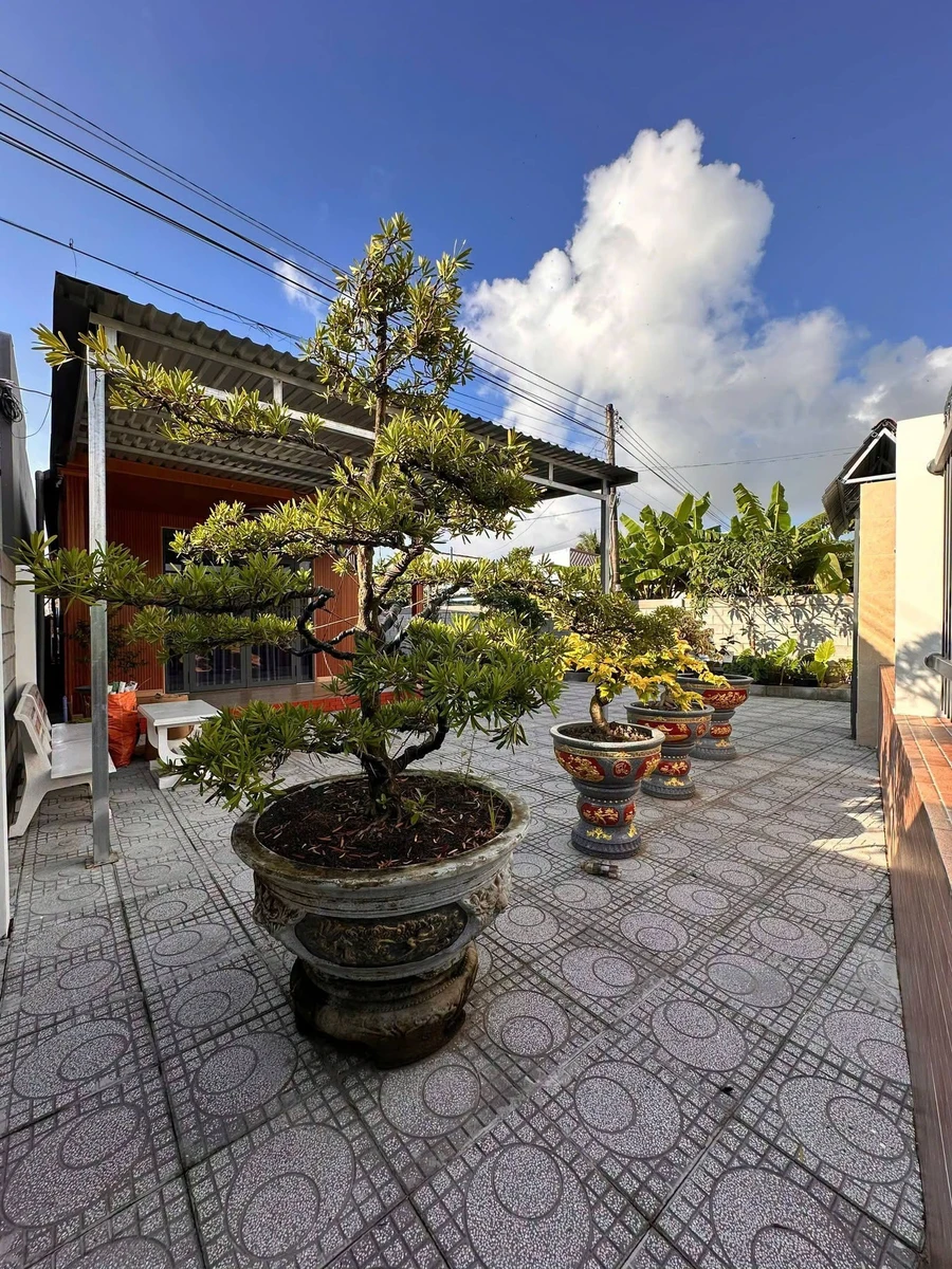 Bán nhà mặt tiền Tà Ben 483m2, 3 phòng, 2 WC, 2 tỷ 530 triệu - Ảnh thu nhỏ 4