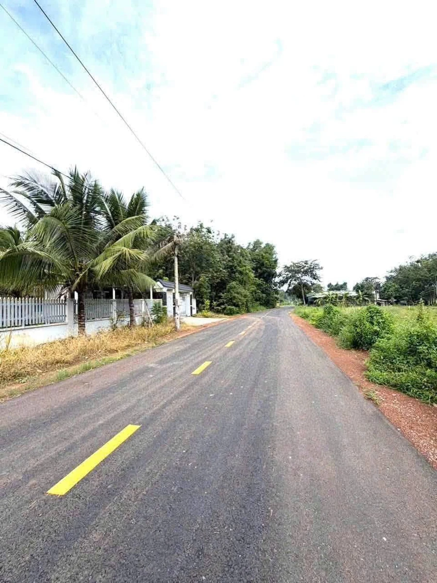 Bán đất Phường Long Nguyên Bàu Bàng Bình Dương 700 triệu - Ảnh thu nhỏ 2