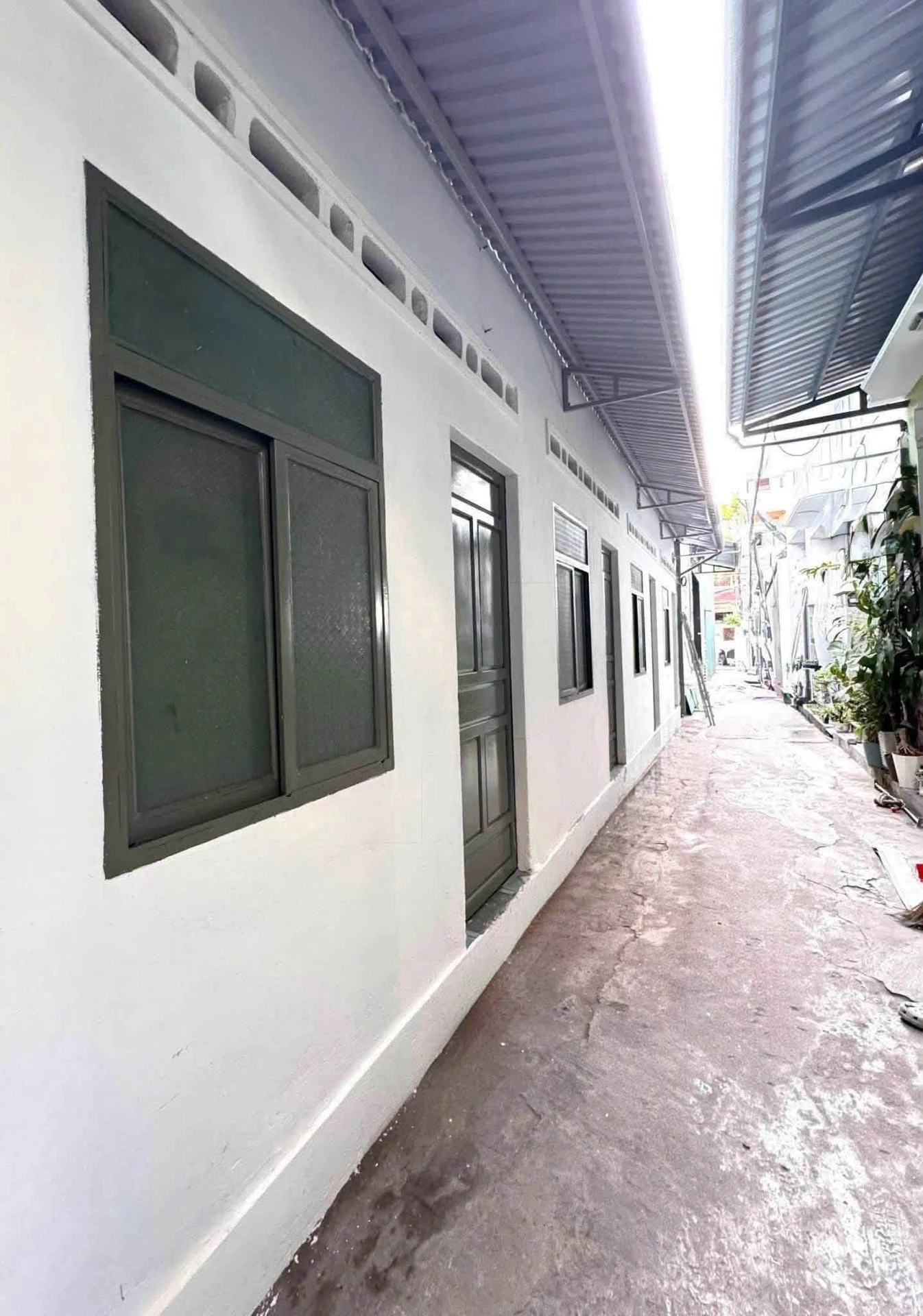 Bán dãy trọ 4 phòng 56m2 Ngô Mây Quy Nhơn 2.95 tỷ - Ảnh 1
