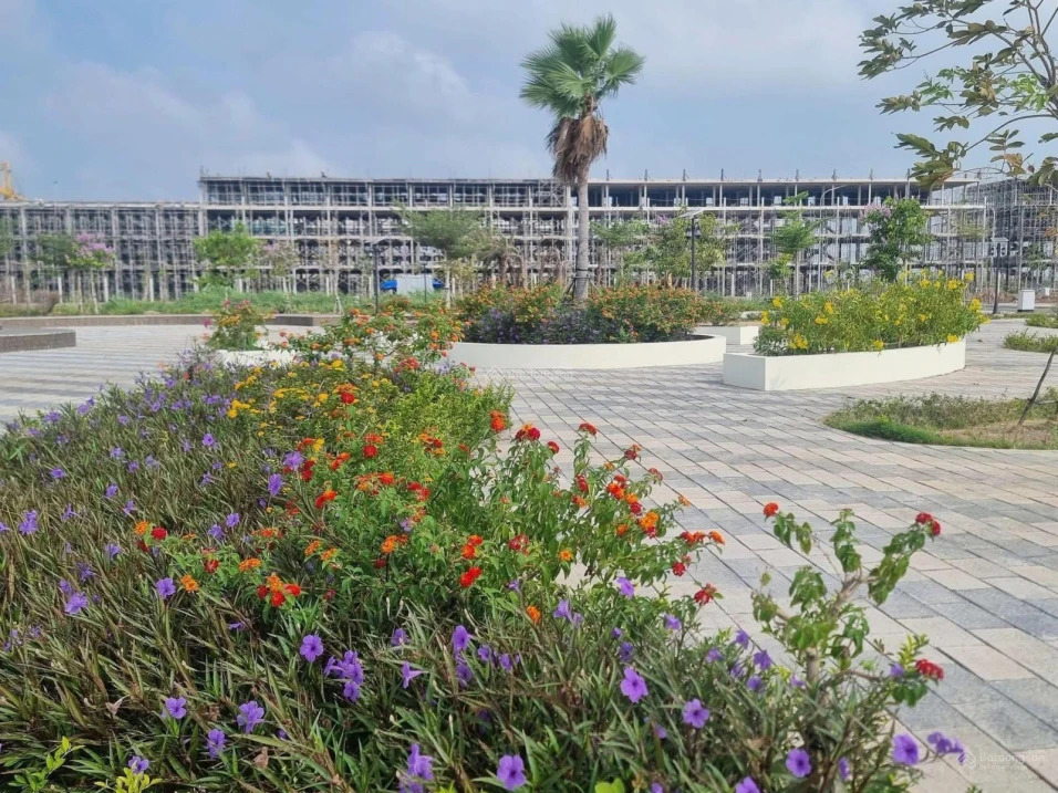 Chính chủ bán gấp lô đất nền Vị Thanh 95m² full thổ, giá công khai 1,2 tỷ có đàm phán - Ảnh thu nhỏ 2