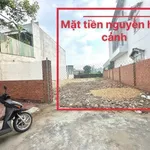Bán đất mặt tiền kinh doanh Nguyễn Hữu Cảnh 141m2, Dĩ An - Ảnh thu nhỏ 5