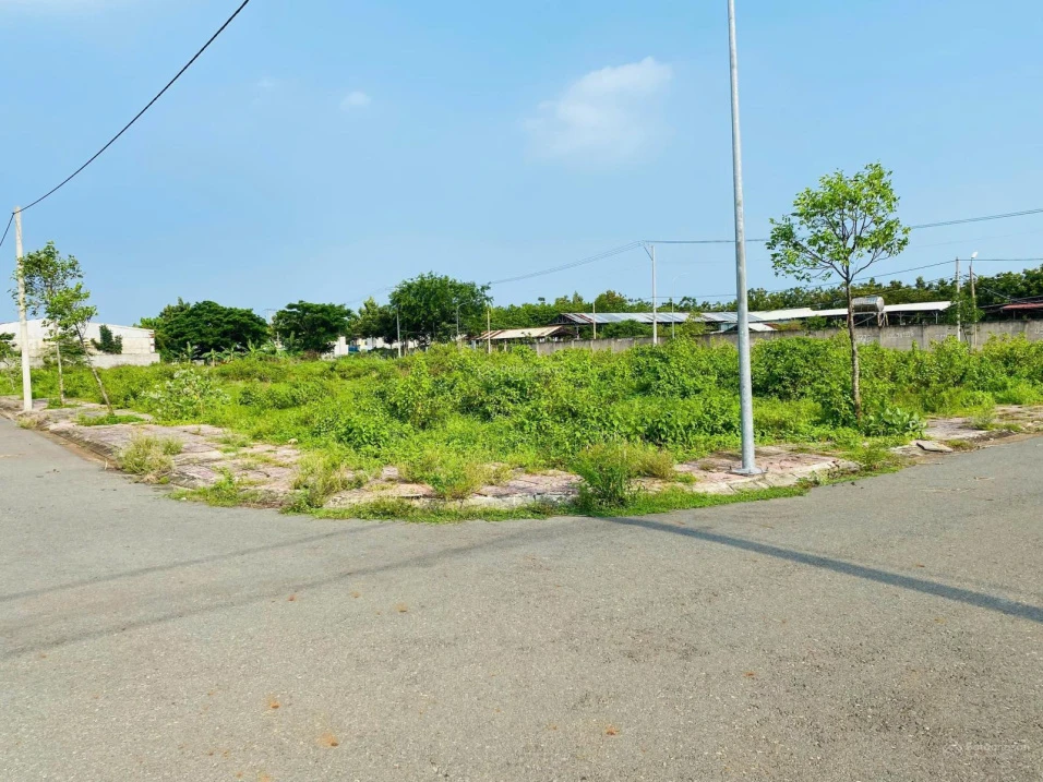 Bán gấp đất nền dự án 150.5 m2, 950 triệu VND tại Hồ Chí Minh - Ảnh thu nhỏ 3