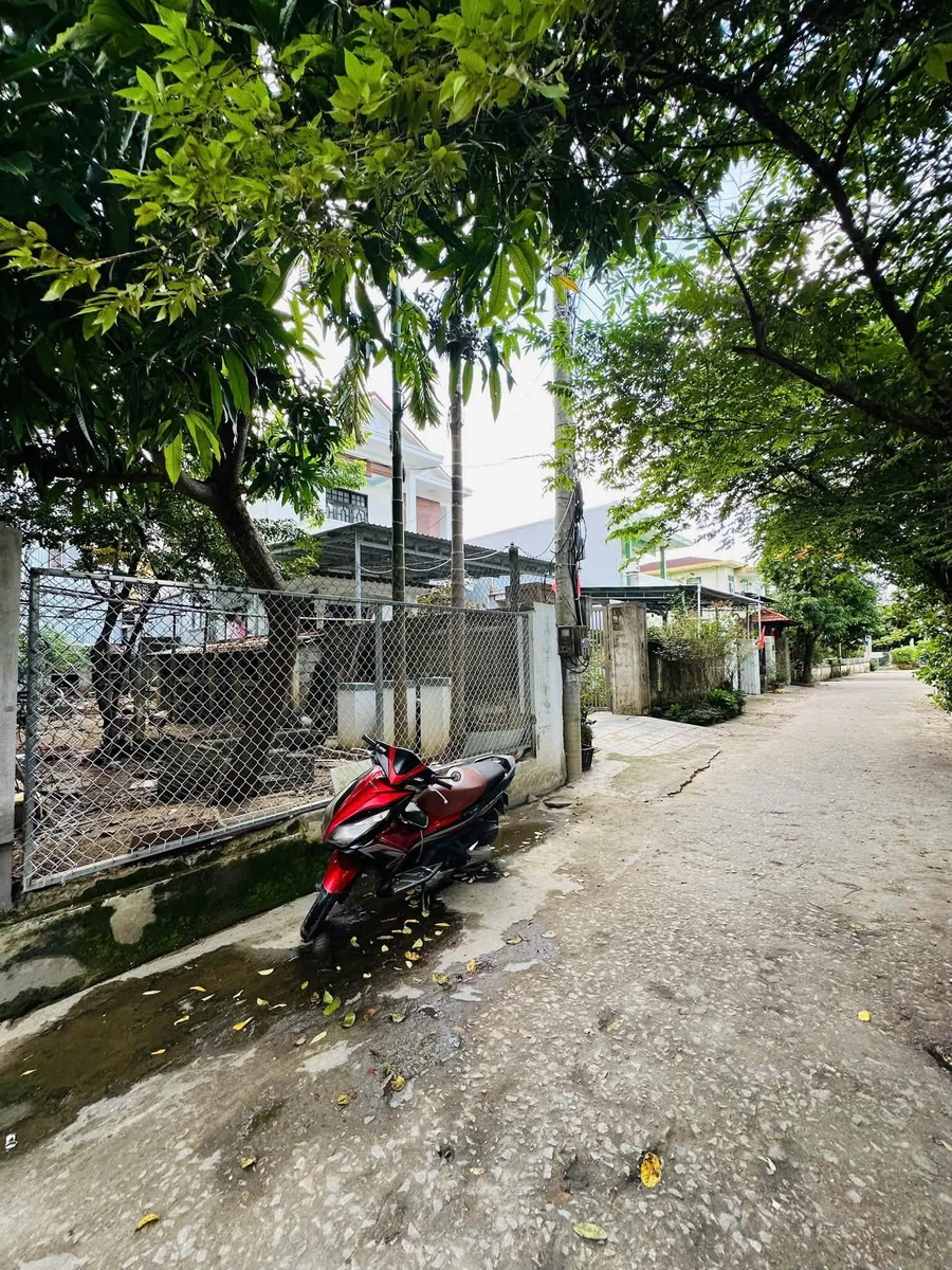 Bán nhà mặt tiền Nguyễn Viết Song 100m2 Huế 2,5 tỷ - Ảnh thu nhỏ 2