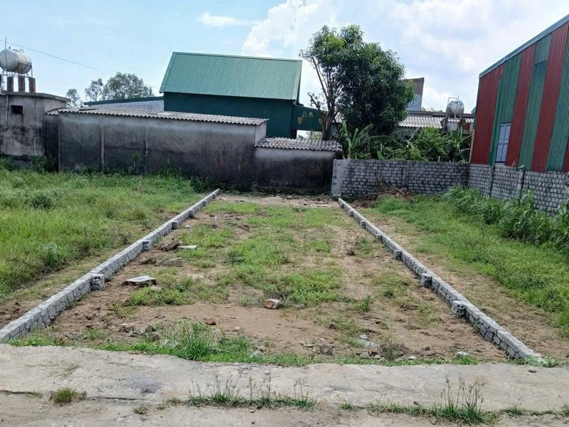 Bán đất 100m² Khối Xuân Bình, Phường Vinh Phú, Nghệ An