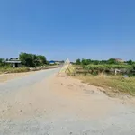 Bán đất thổ cư 648m² Cà Mau gần Cầu Khánh An - Ảnh thu nhỏ 4
