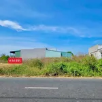Bán đất thổ cư mặt tiền Nhựa Xoài Quỳ 150m2, Lâm Đồng - Ảnh thu nhỏ 2