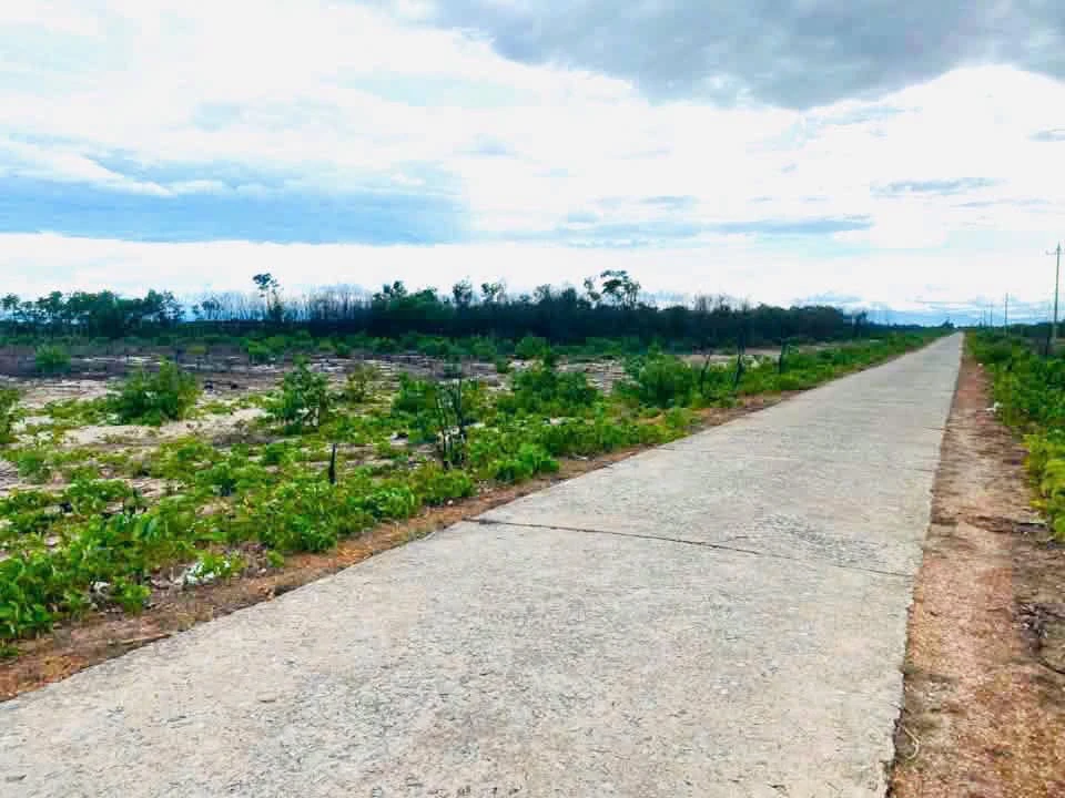 Bán đất ven biển Phong Phú Huế 5000 m², 220 triệu - Ảnh thu nhỏ 3
