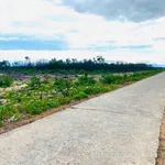 Bán đất ven biển Phong Phú Huế 5000 m², 220 triệu - Ảnh thu nhỏ 3