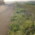 3300m2 cao nguyên Vân Hoà có 200m2 thổ cư mặt tiền ĐT 643 dài 60m đất view cao đẹp giá 1.8 tỷ - Ảnh thu nhỏ 15