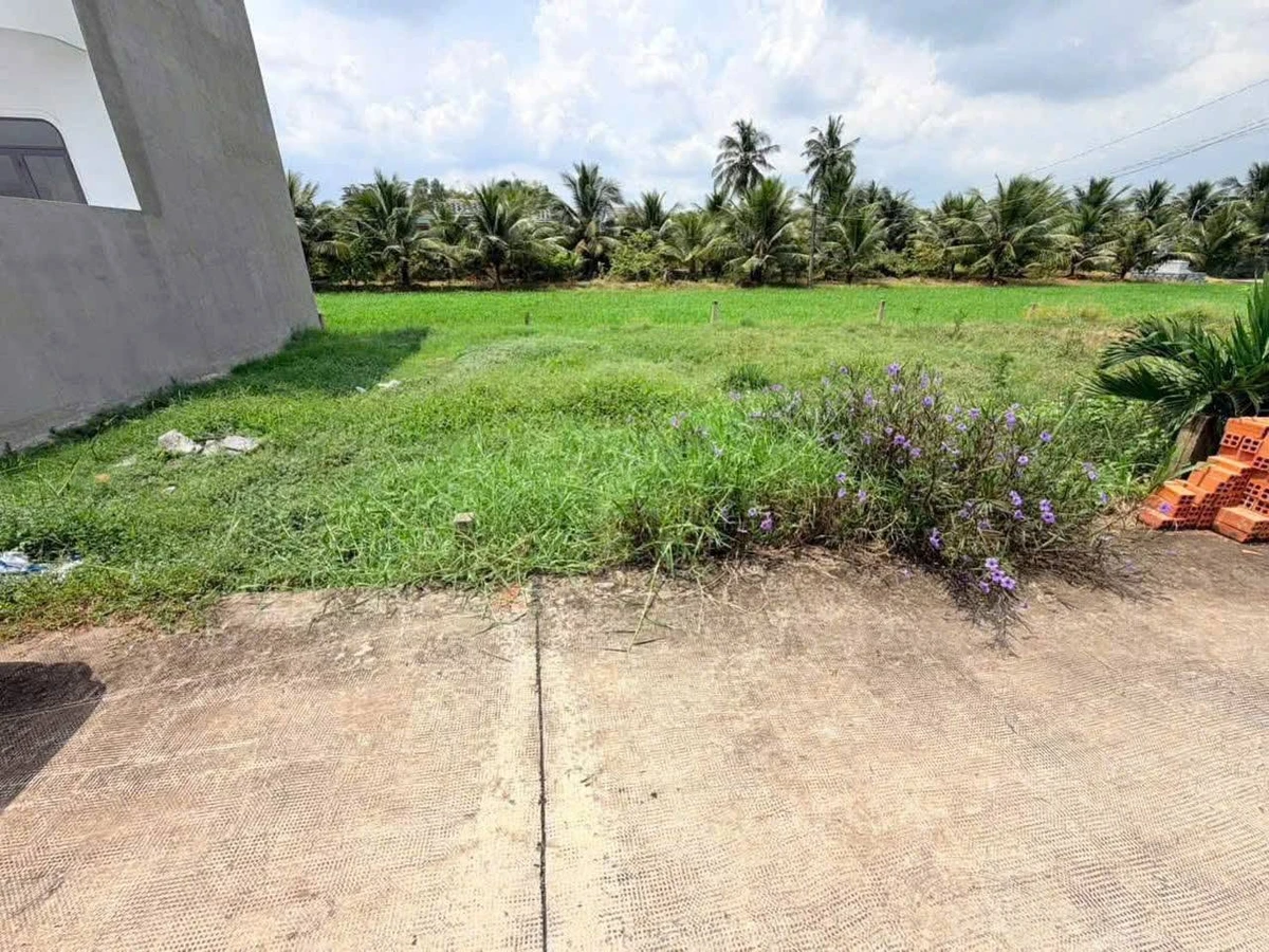 Bán đất 54m² mặt tiền 6m Tân Trụ - Ảnh thu nhỏ 2