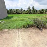 Bán đất 54m² mặt tiền 6m Tân Trụ - Ảnh thu nhỏ 2