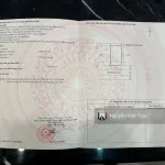 Đối diện VinHomes Vinmec diện tích 234m2 khu Cành Trẽ Hoàng Tân, Hà An - Ảnh thu nhỏ 4