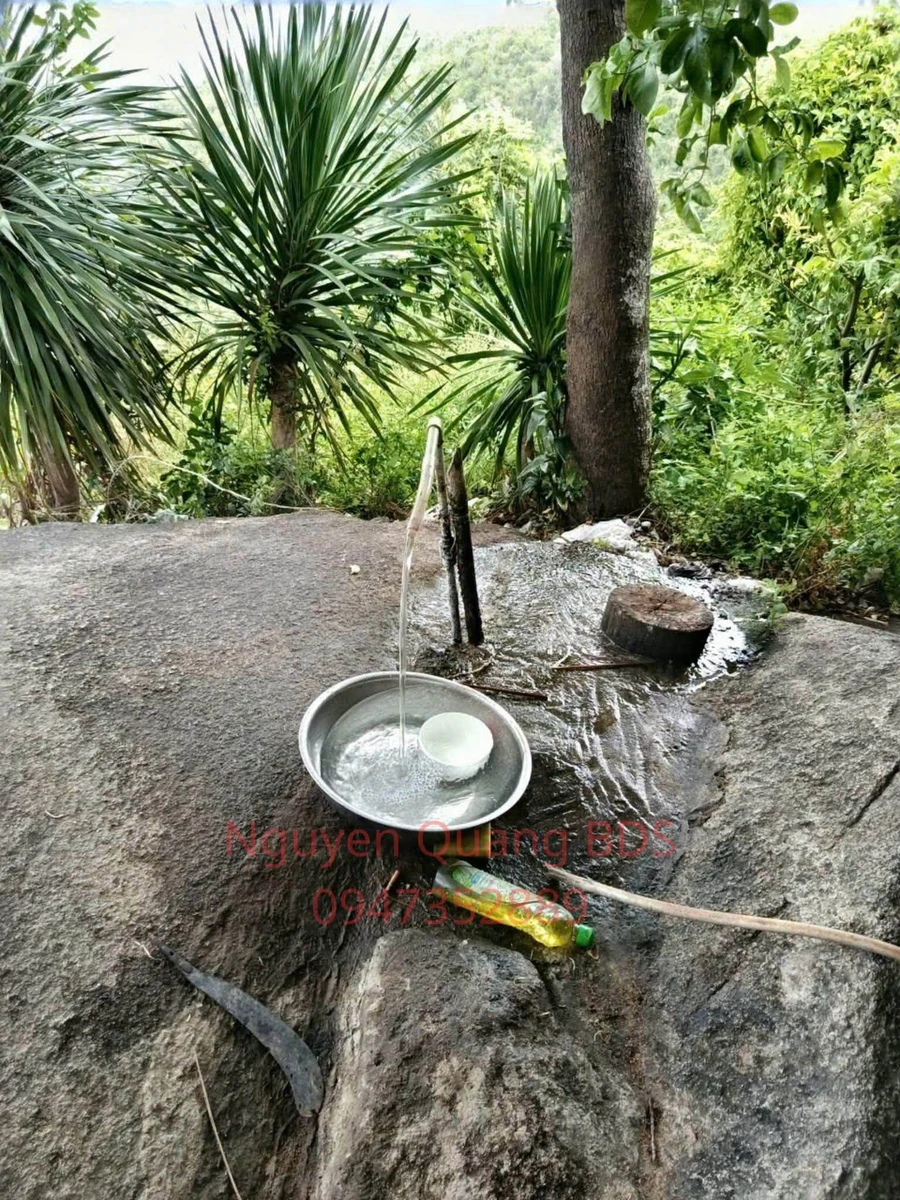 Bán lô đất 2,5ha Dốc Lết, Khánh Hòa, 1,6 tỷ - Ảnh thu nhỏ 5
