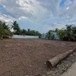 Bán đất nền F0 Long Hòa A 280m² Đồng Tháp - Ảnh thu nhỏ 2