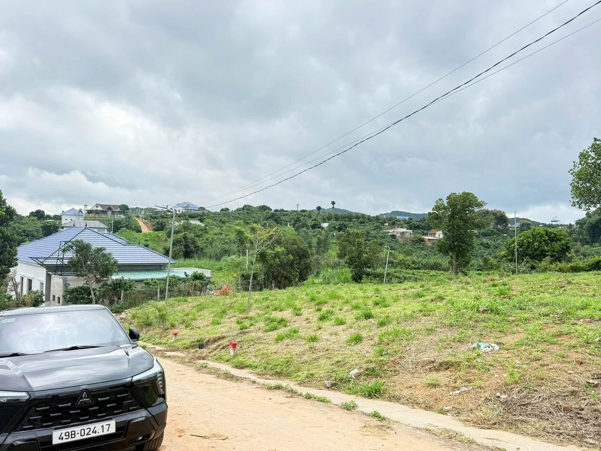 Bán lô đất view rừng thông tại Nam Ban, Lâm Đồng - Ảnh thu nhỏ 2
